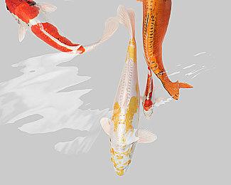 国产抗日题材FPS《抵抗者》引起国外玩家关注